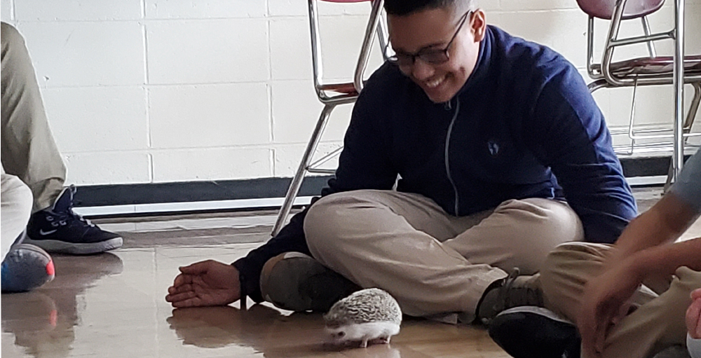 Students met the classroom pet, Gus Gus the nocturnal hedgehog